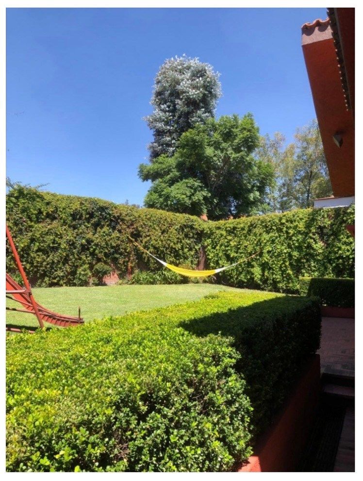 Foto 20