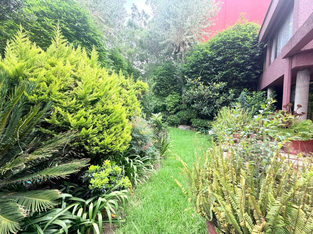 Foto 12