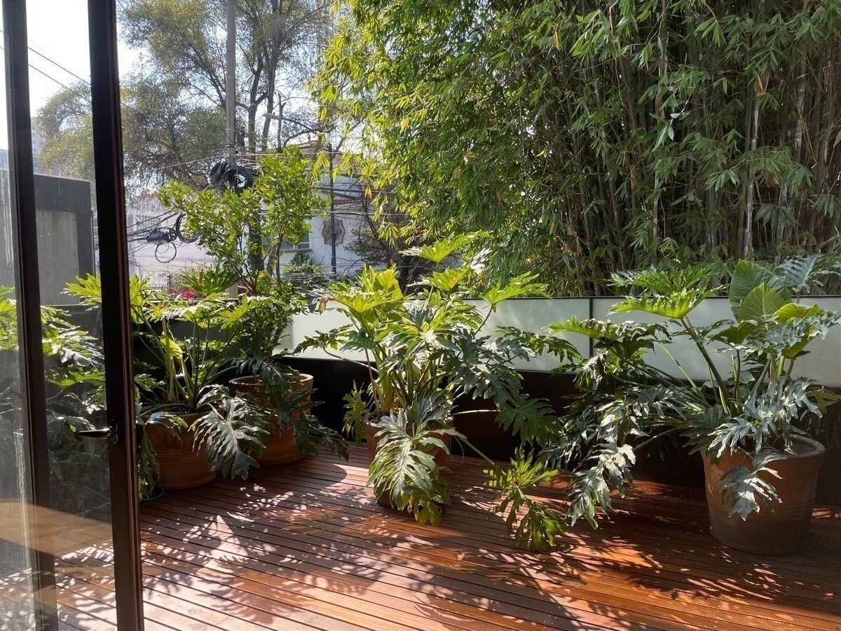 Departamento en renta · Polanco IV Sección, Polanco, Miguel Hidalgo, Ciudad de México Departamento en renta · Polanco IV Sección, Polanco, Miguel Hidalgo, Ciudad de México