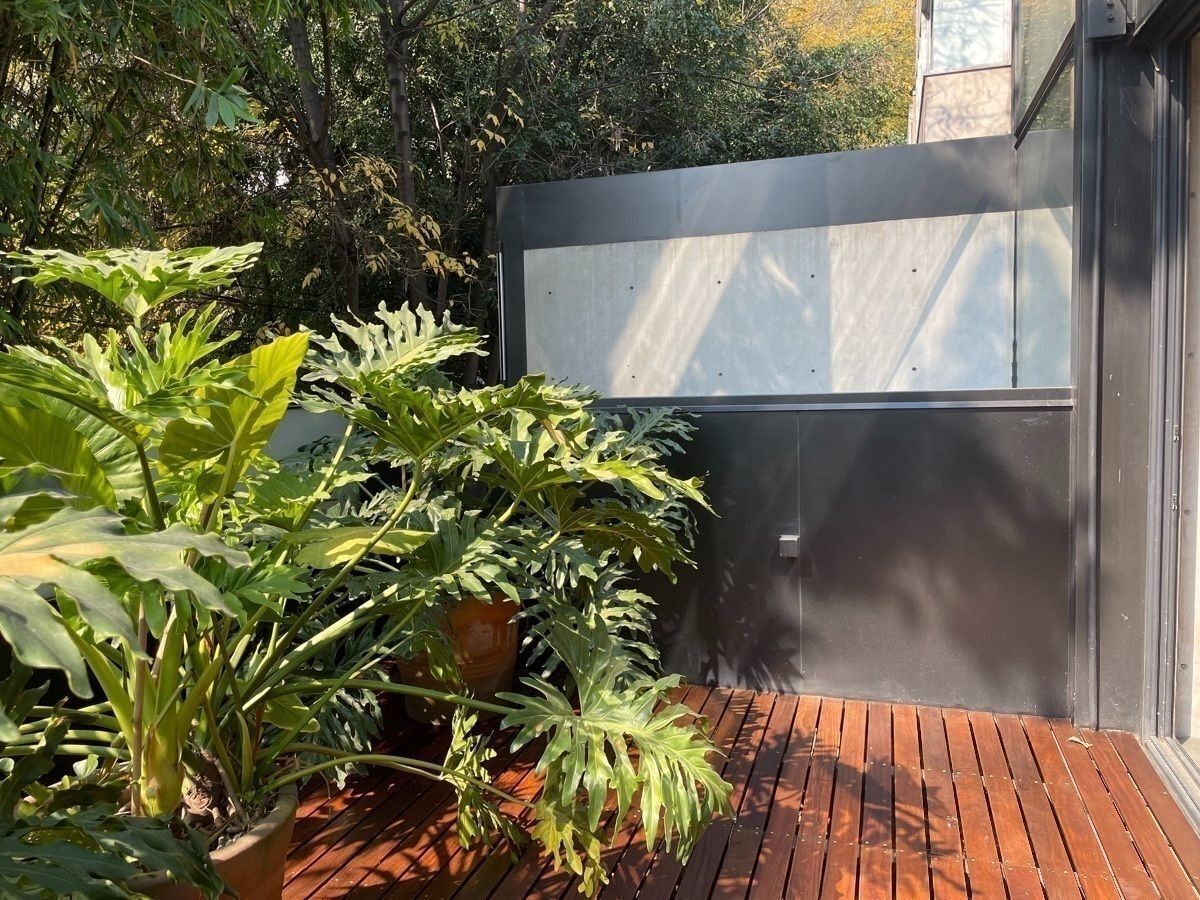 Departamento en renta · Polanco IV Sección, Polanco, Miguel Hidalgo, Ciudad de México Departamento en renta · Polanco IV Sección, Polanco, Miguel Hidalgo, Ciudad de México