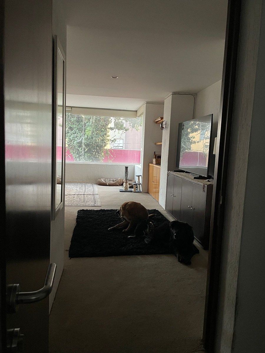 Foto 14