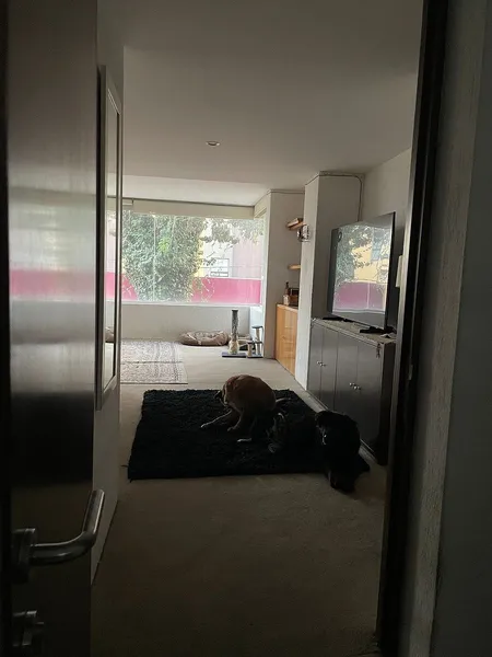 Foto 14