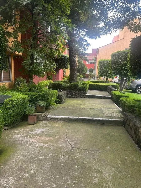 Foto 20