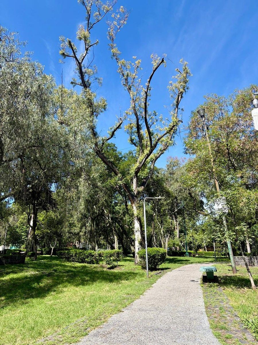 Foto 16
