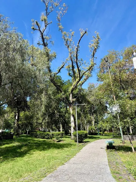 Foto 16