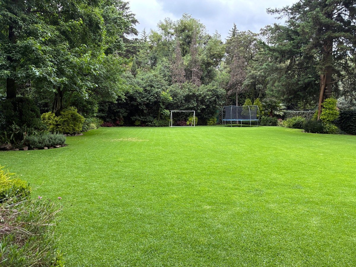 Foto 37