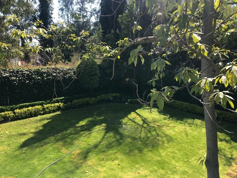 Foto 19
