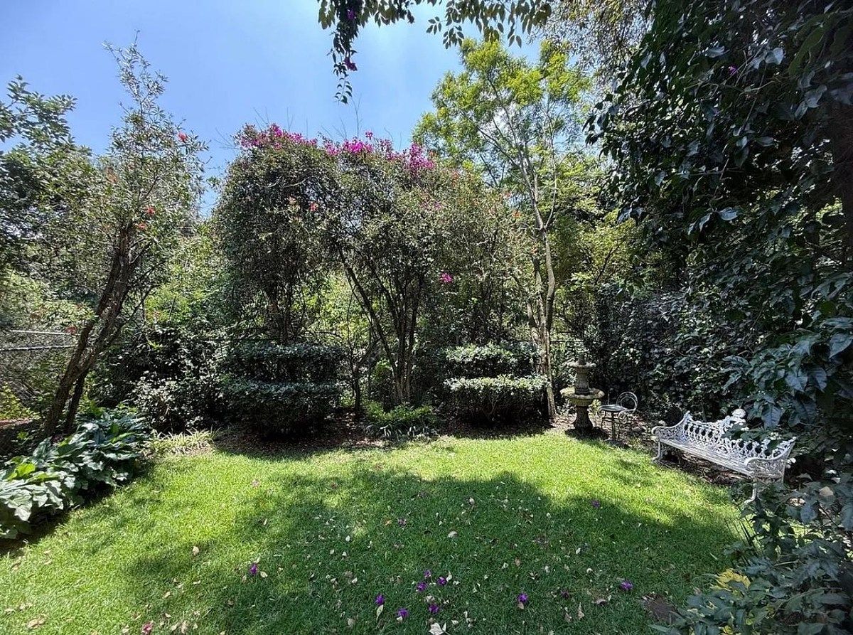Foto 15