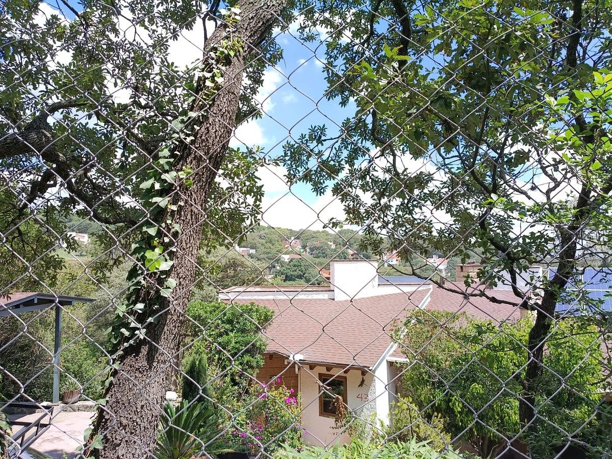 Foto 9