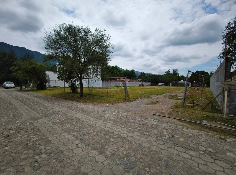 Foto 5