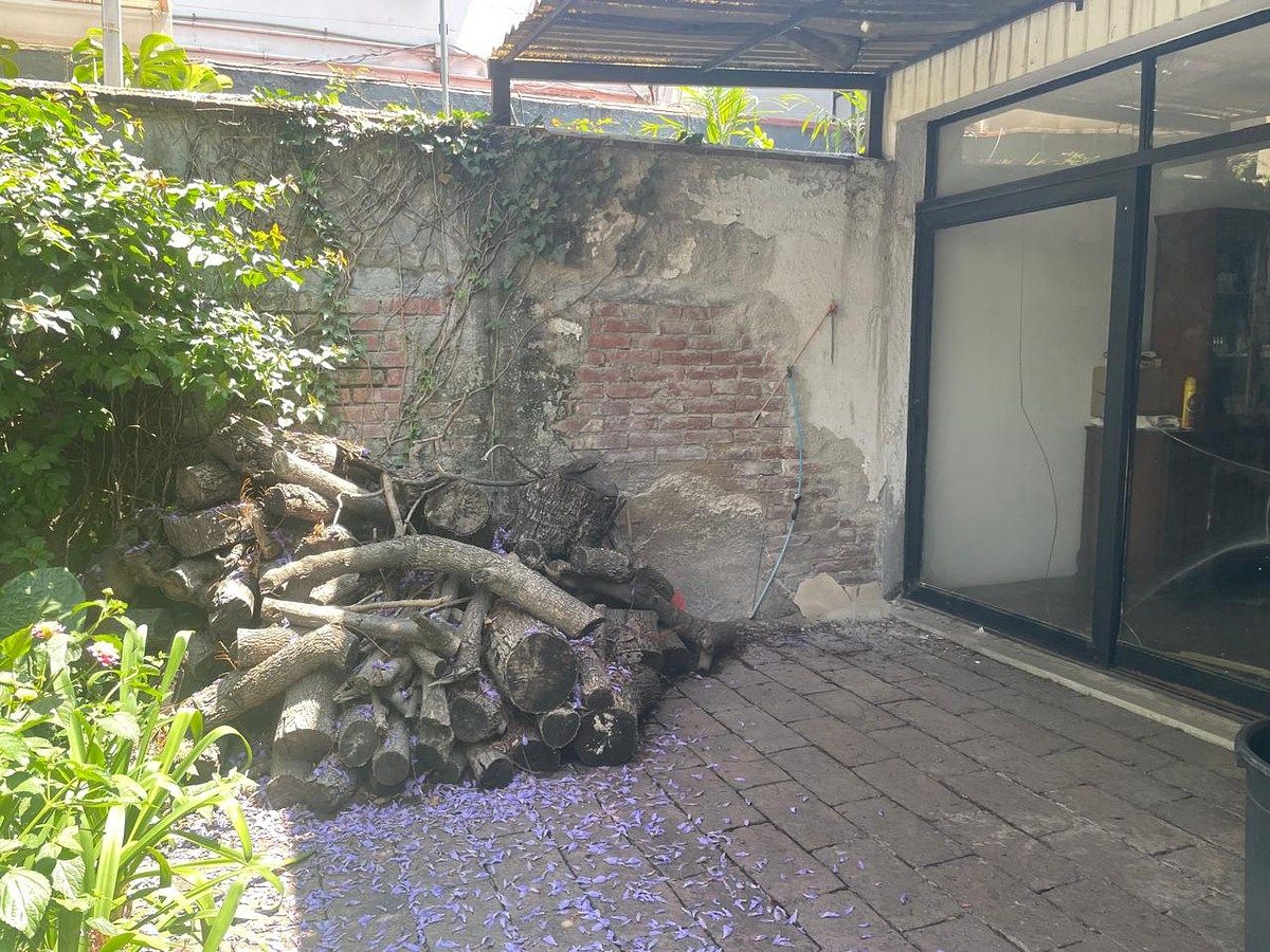 Foto 10
