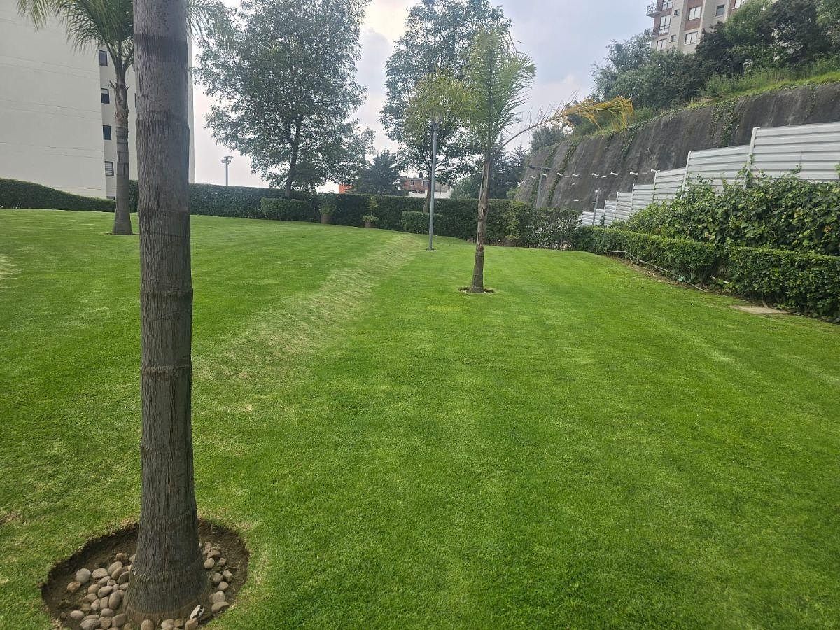 Foto 31
