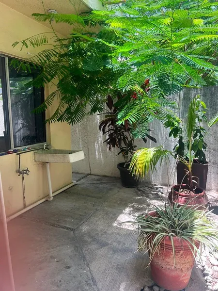 Foto 25