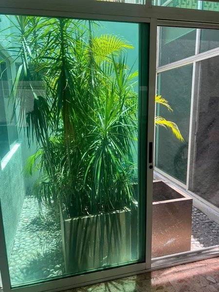Foto 19