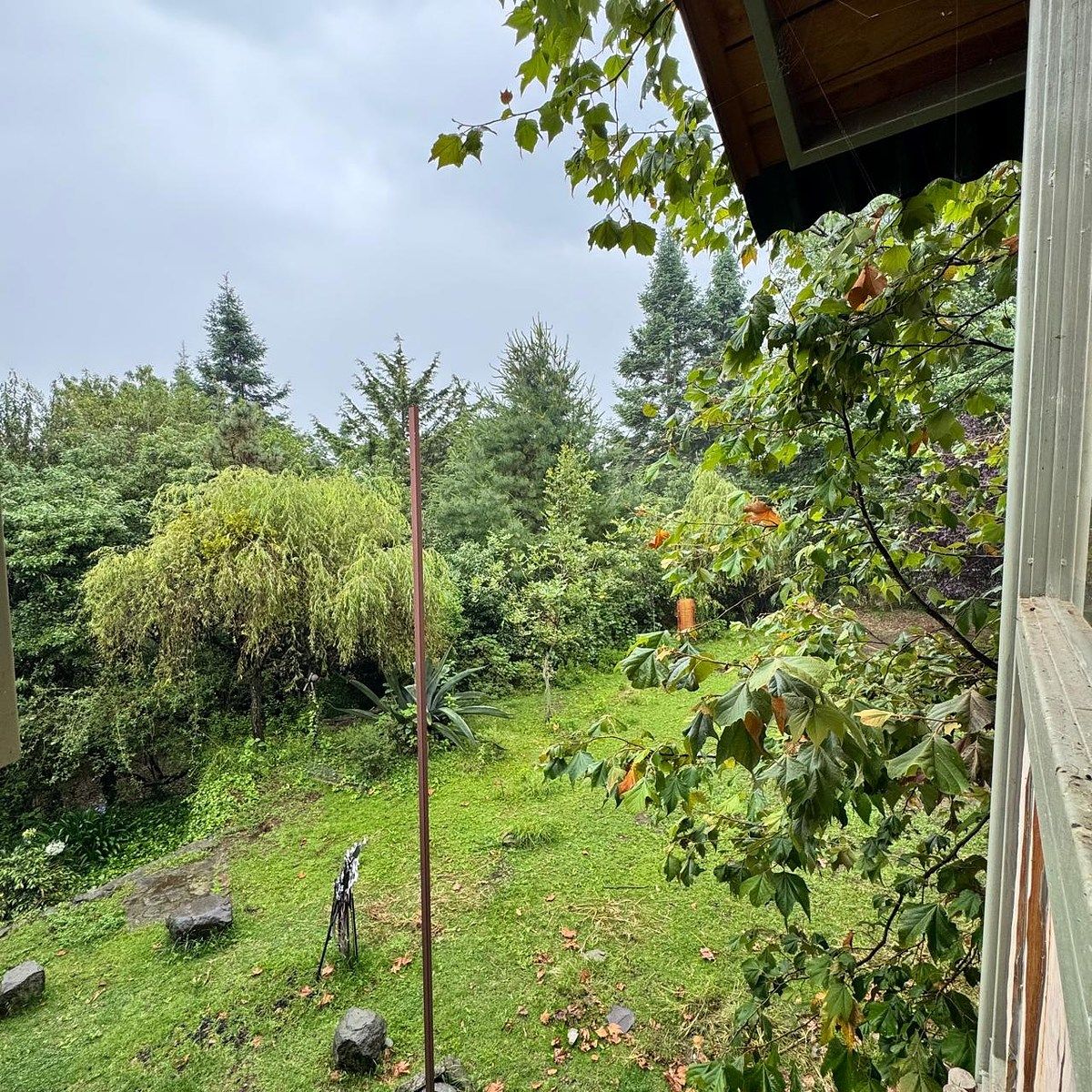 Foto 43
