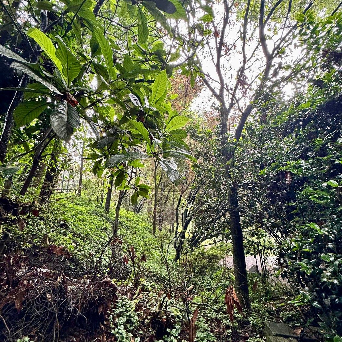 Foto 44