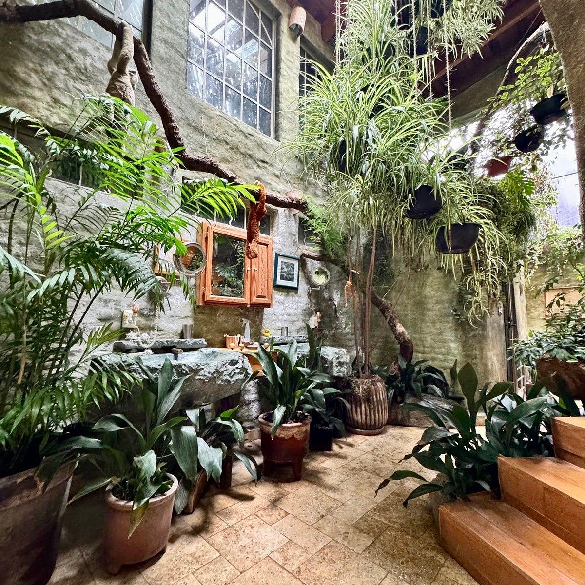 Foto 10