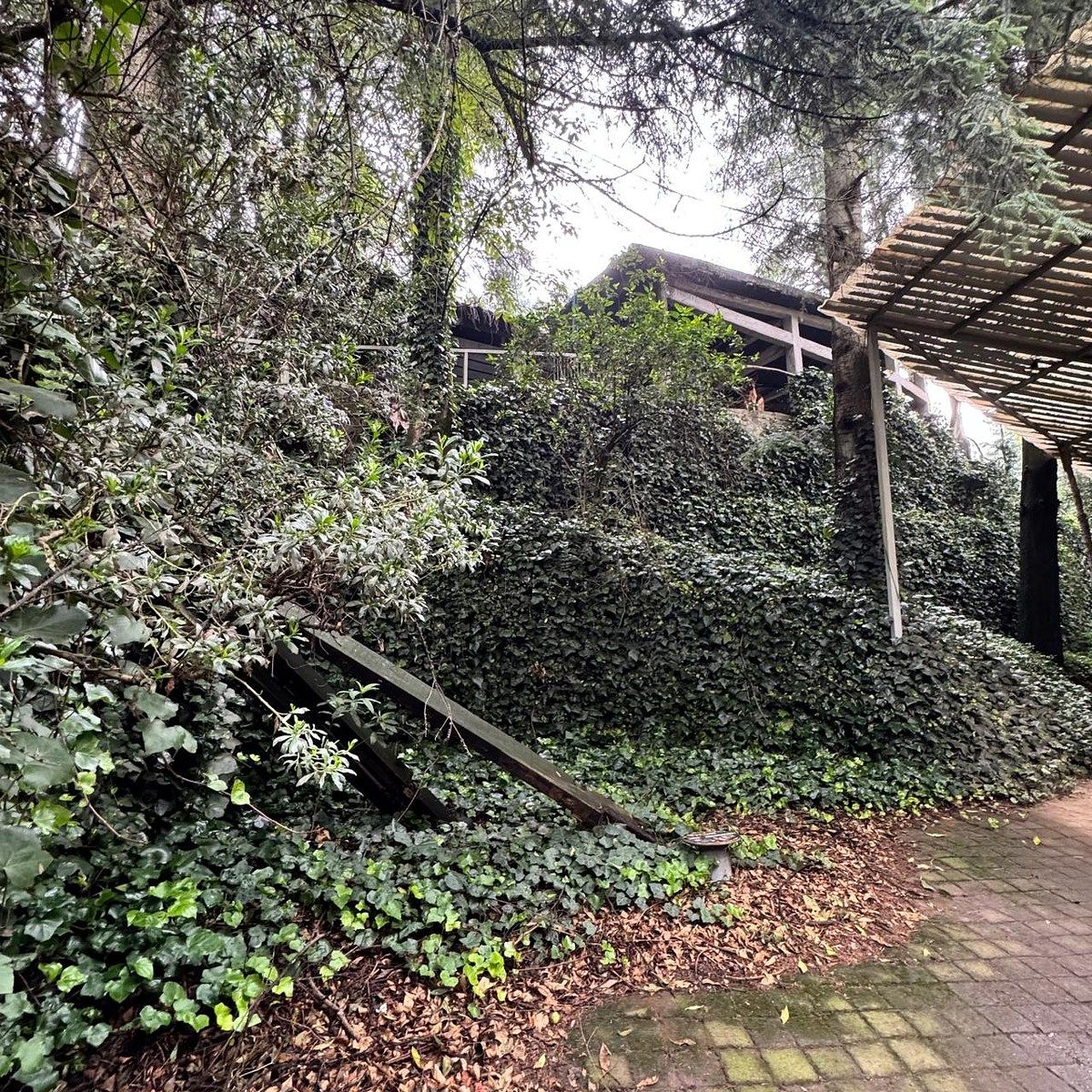 Foto 45