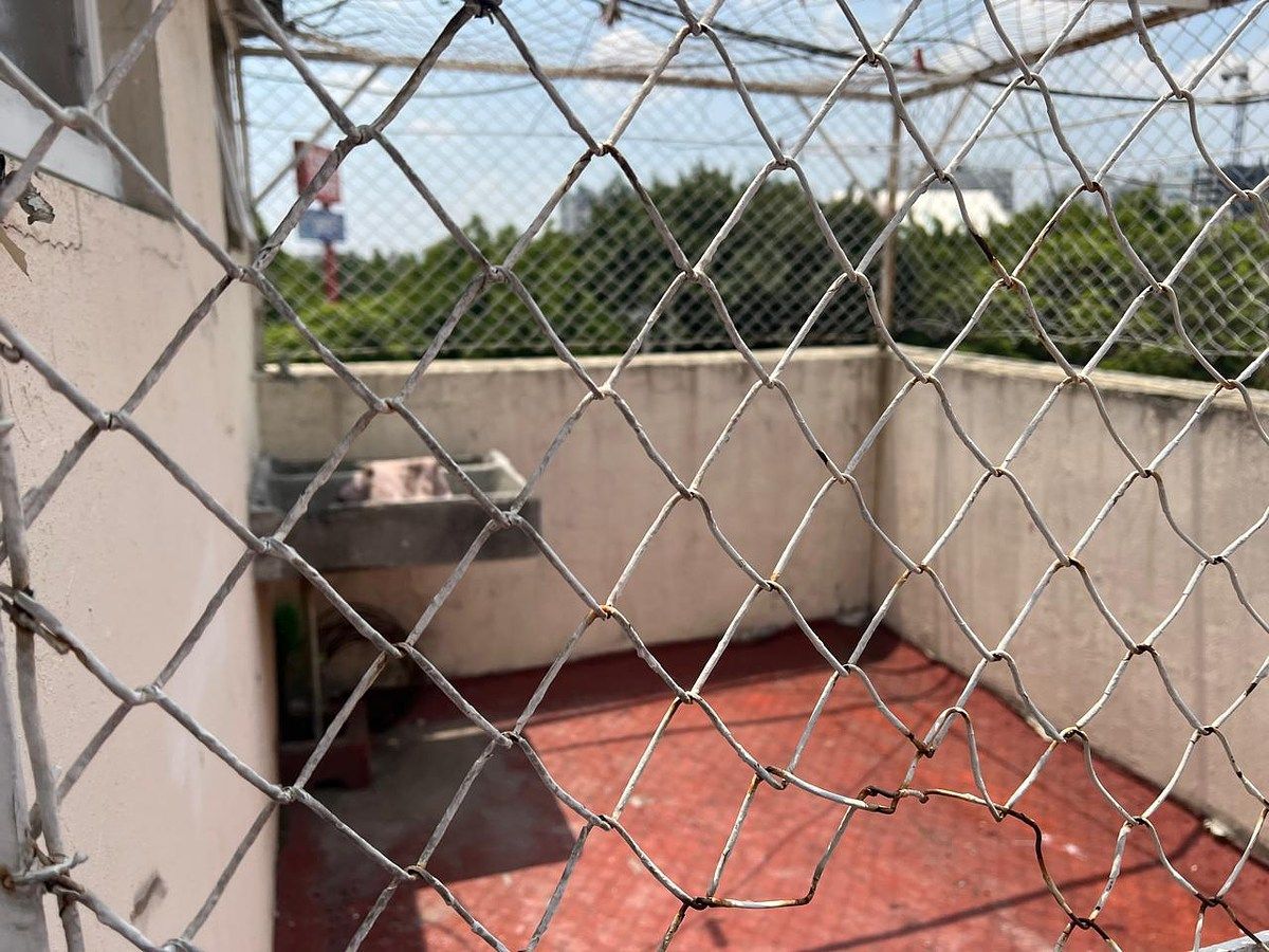 Foto 14