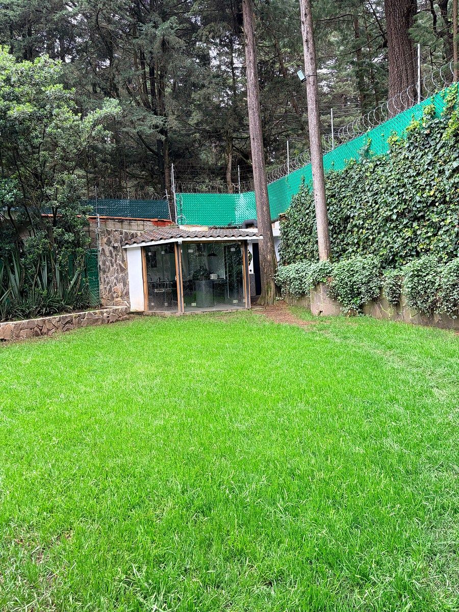 Foto 17