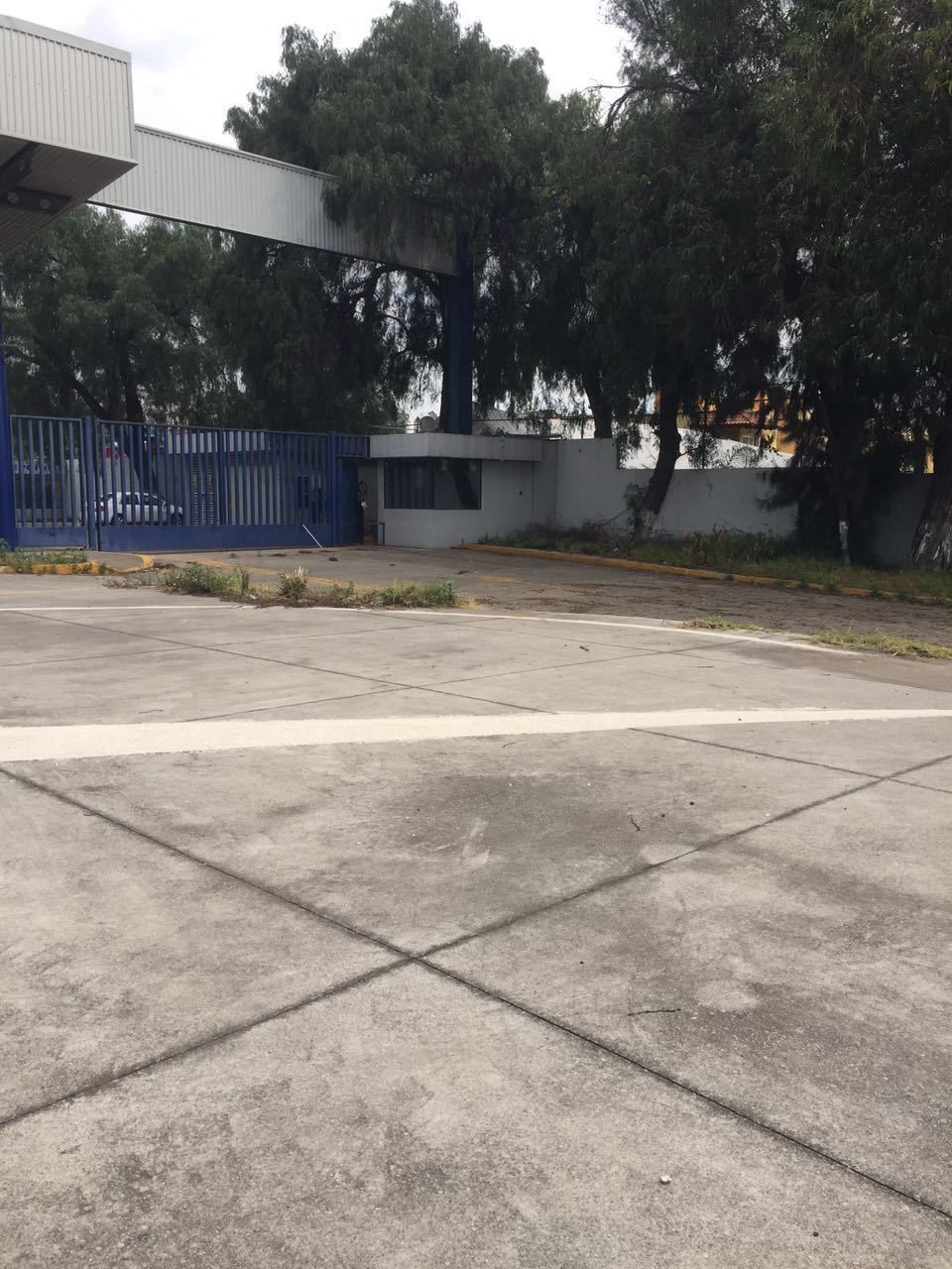 Foto 5