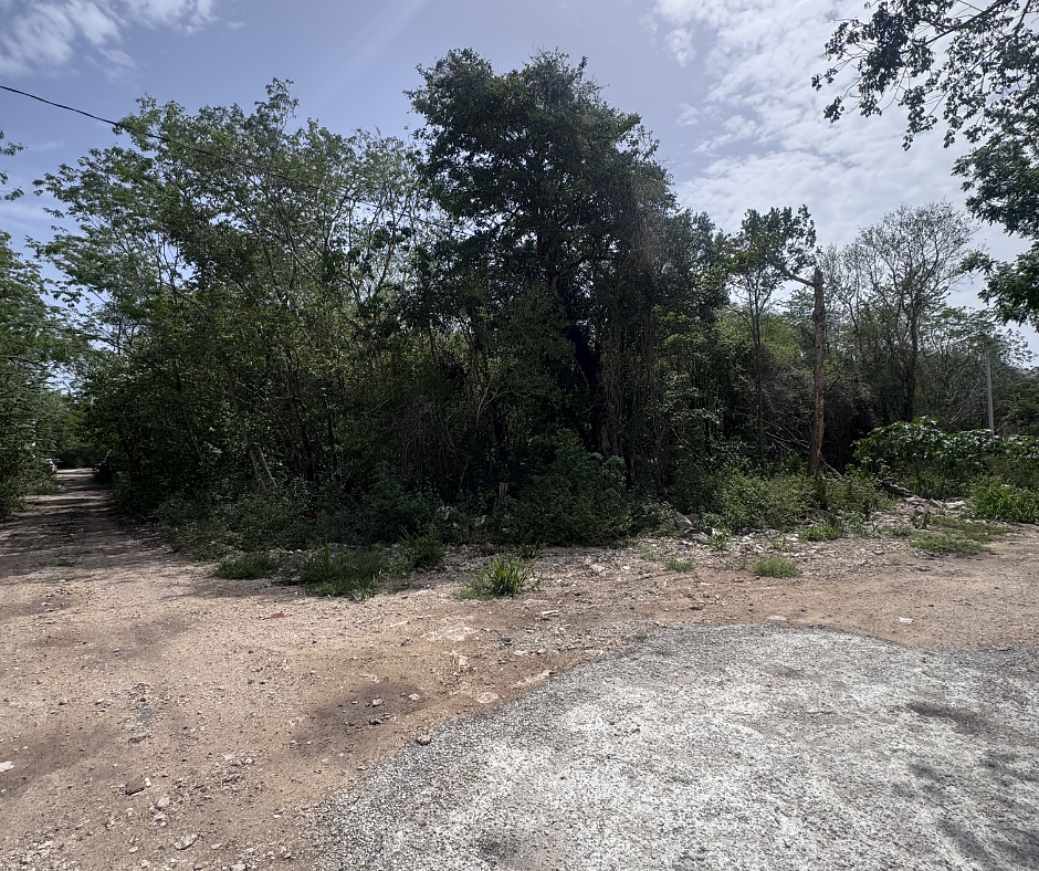 Lote en venta · Puerto Morelos, Quintana Roo
