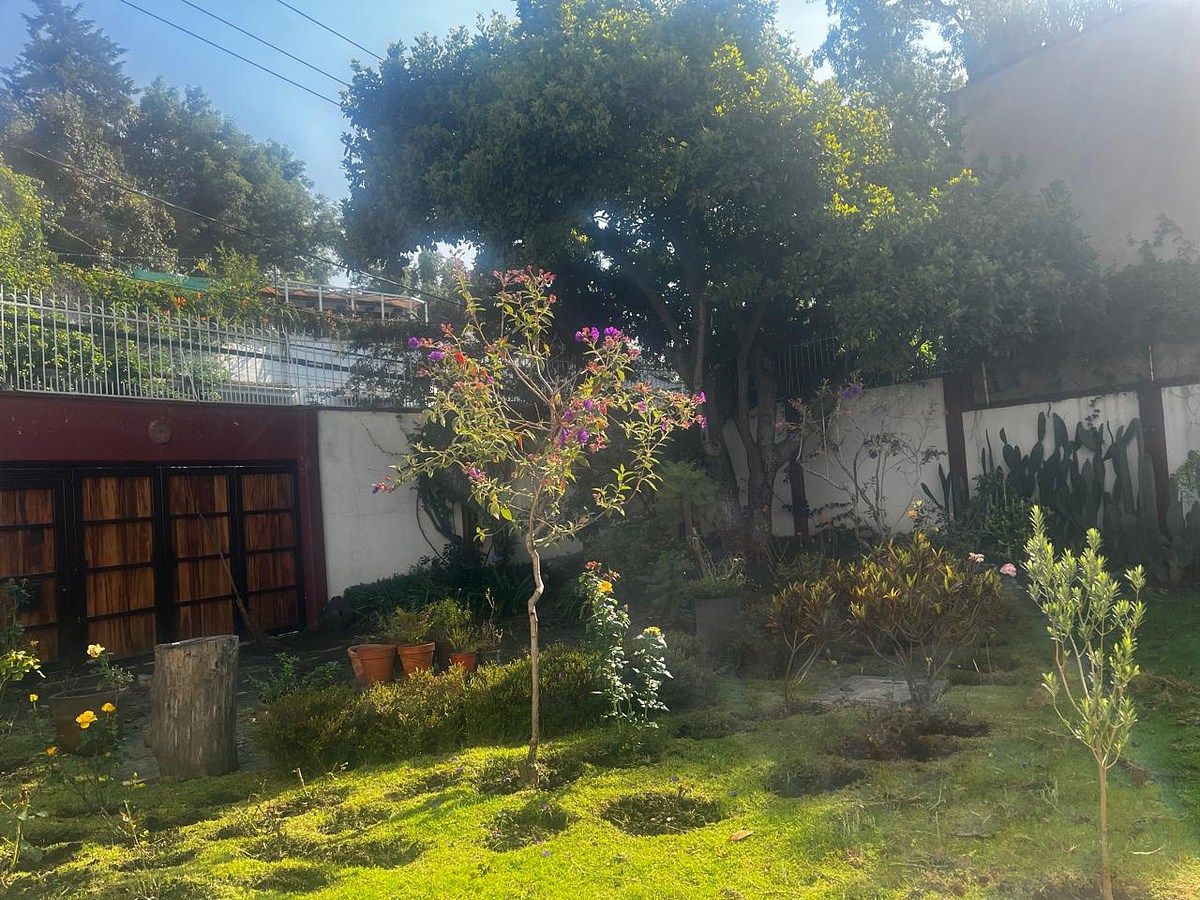 Lote en venta · San Angel, Álvaro Obregón, Ciudad de México