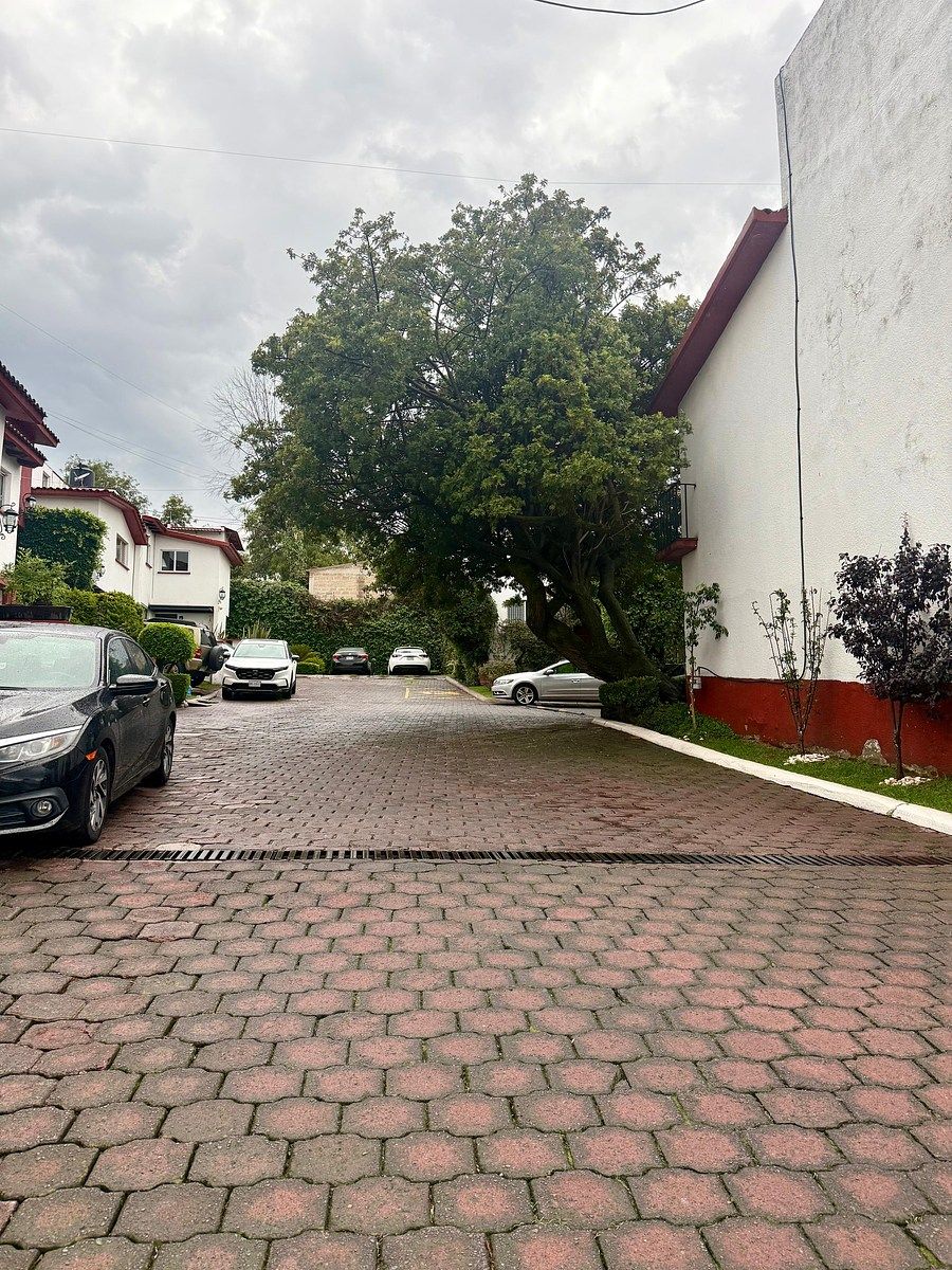Foto 41