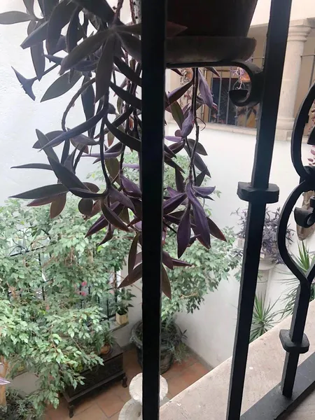 Foto 18