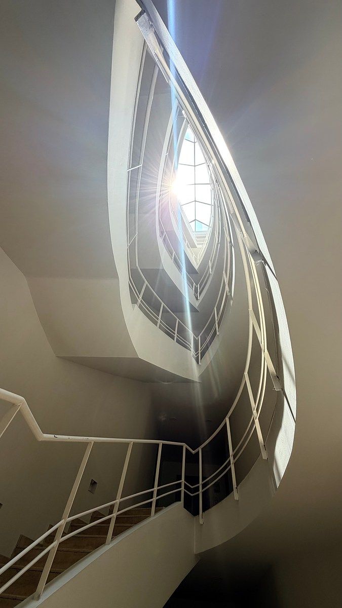 Foto 19