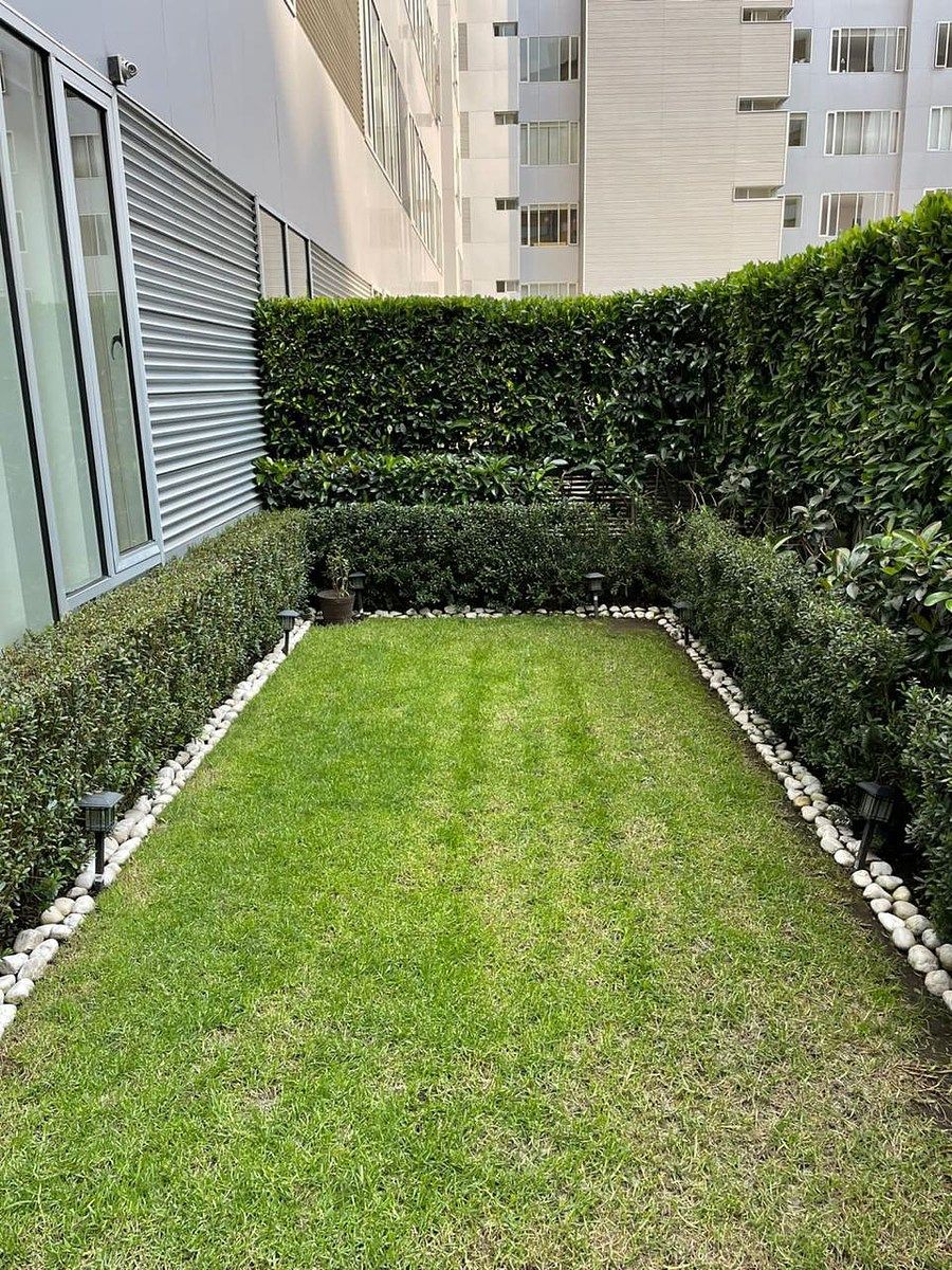 Foto 7