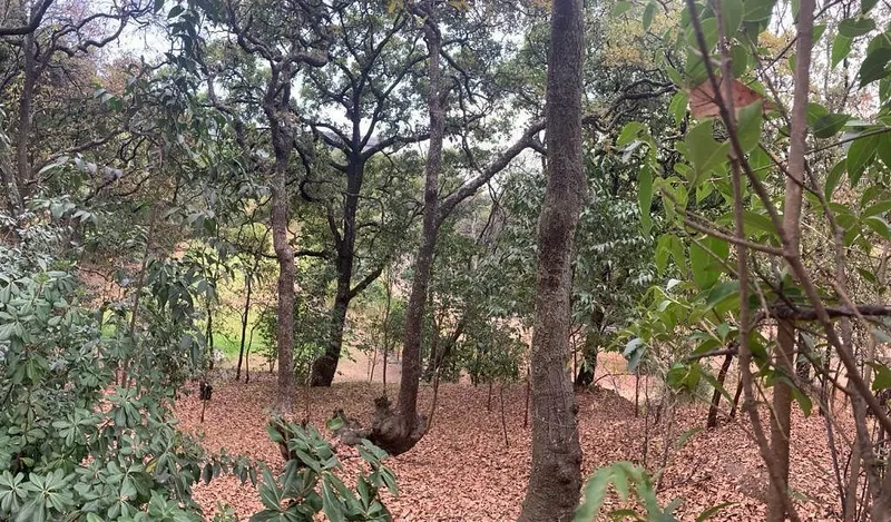 Foto 7