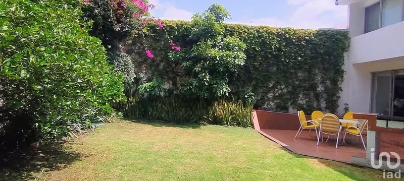 Foto 47