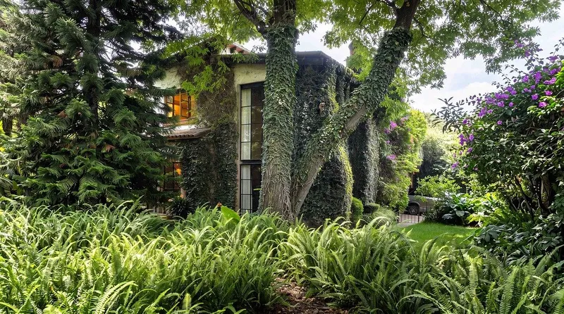 Casa en venta · San Jerónimo Lídice, La Magdalena Contreras, Ciudad de México Casa en venta · San Jerónimo Lídice, La Magdalena Contreras, Ciudad de México