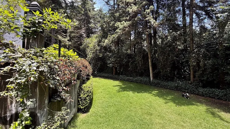 Foto 17