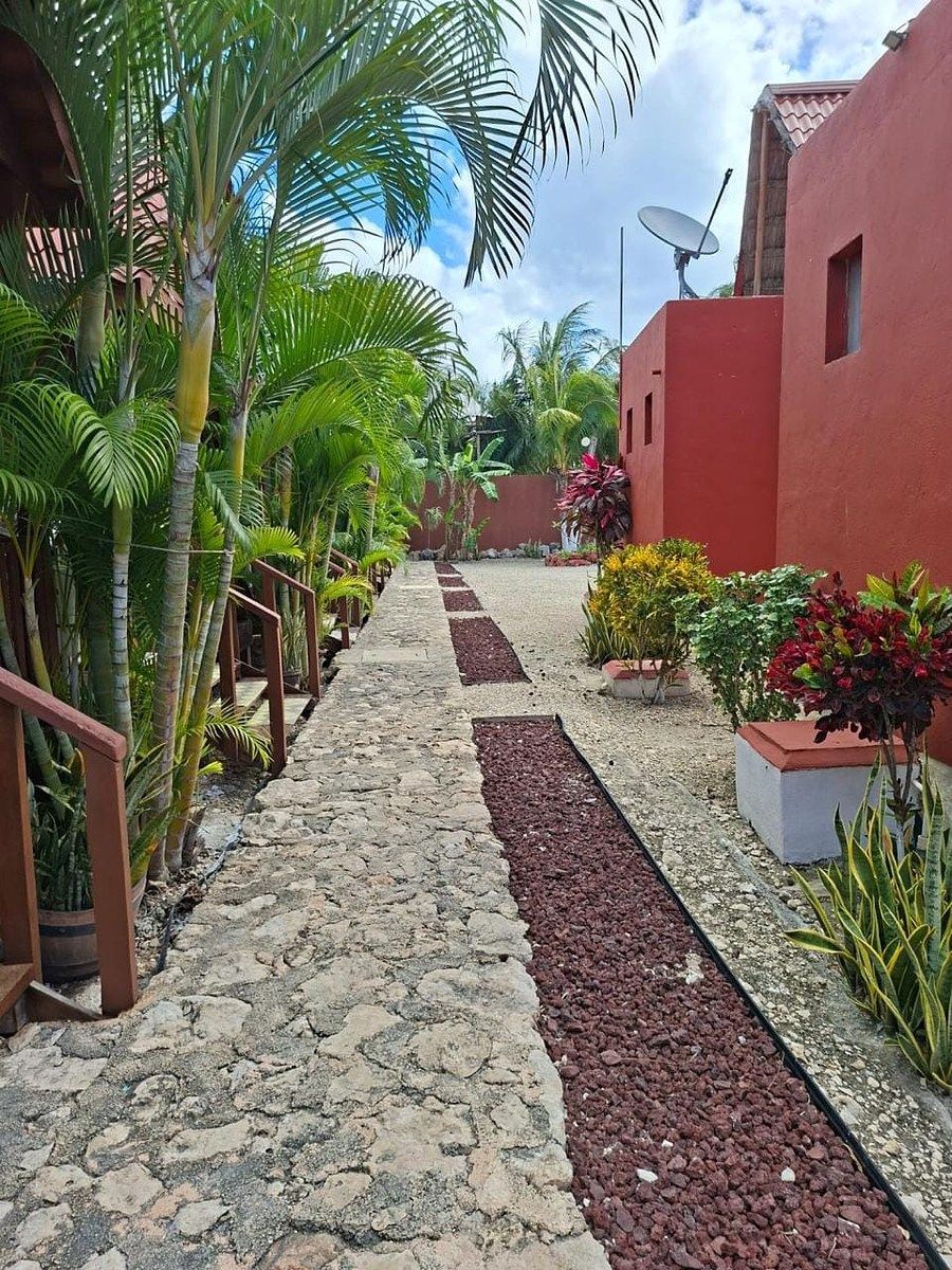 Foto 12