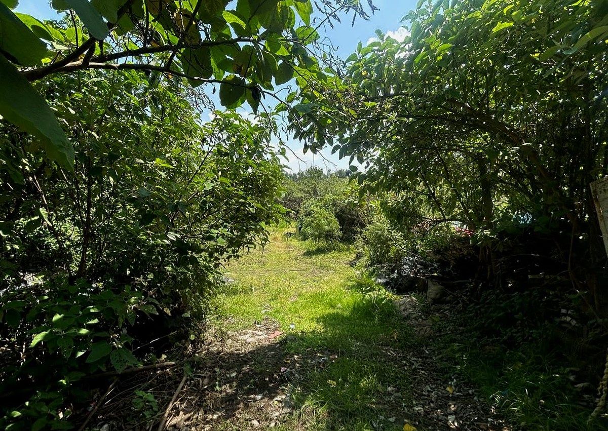 Foto 10