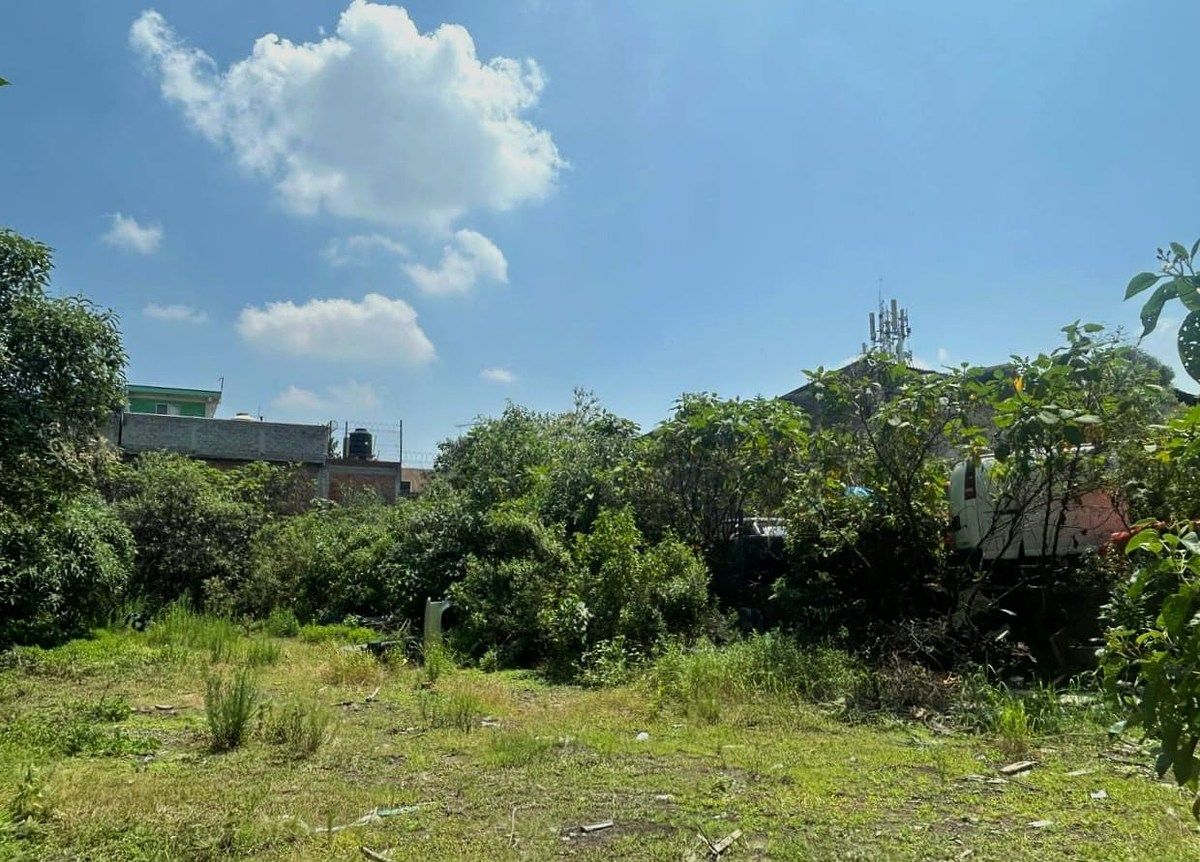 Foto 6