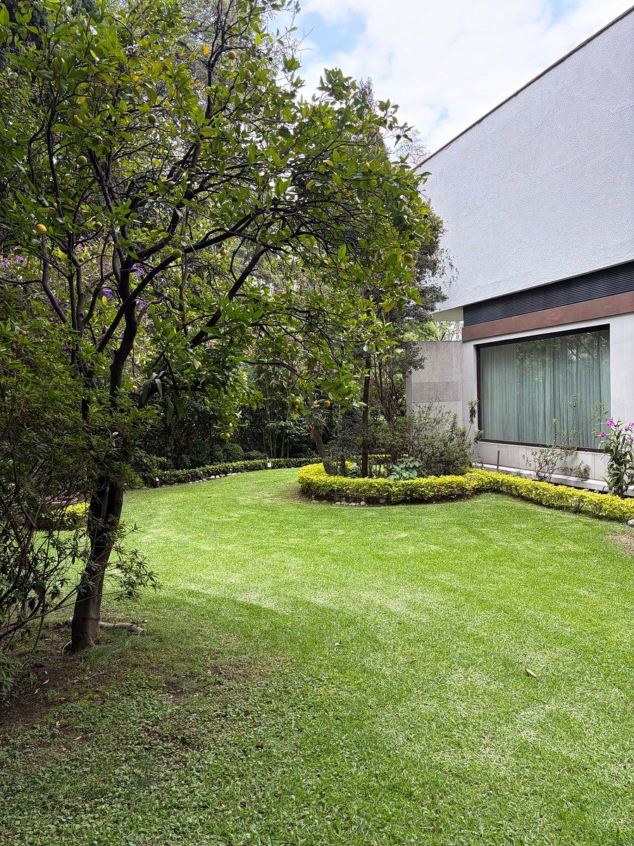 Foto 8