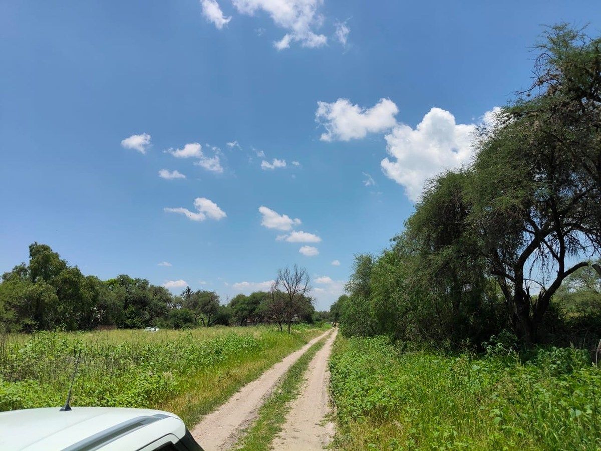 Foto 41