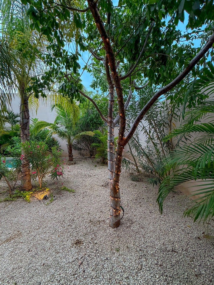 Foto 14