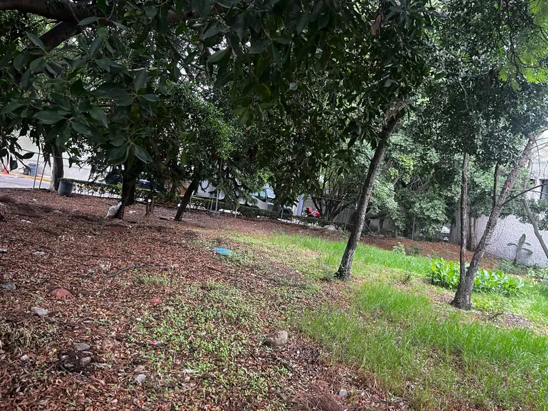 Lote en venta · Florida, Álvaro Obregón, Ciudad de México