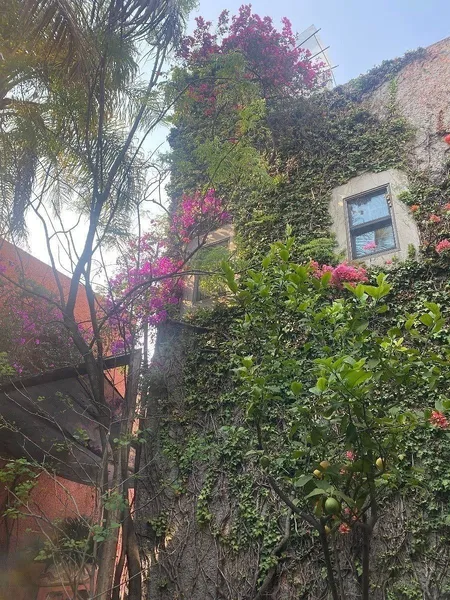 Foto 21