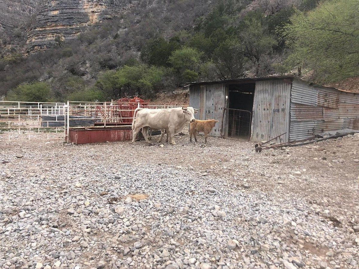 Foto 6