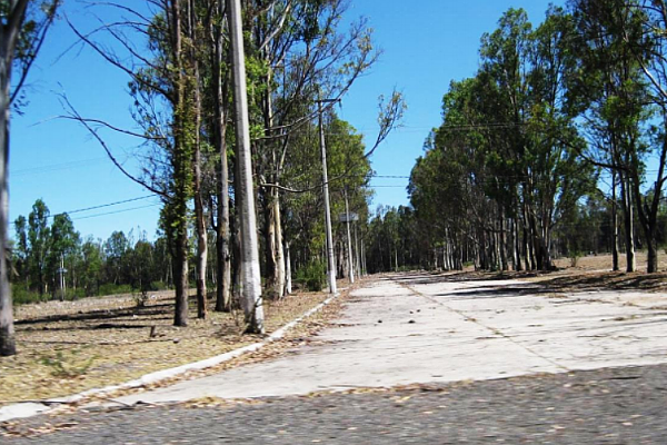 Foto 5