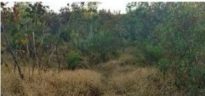 Foto 5