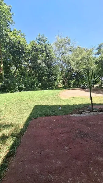 Foto 8
