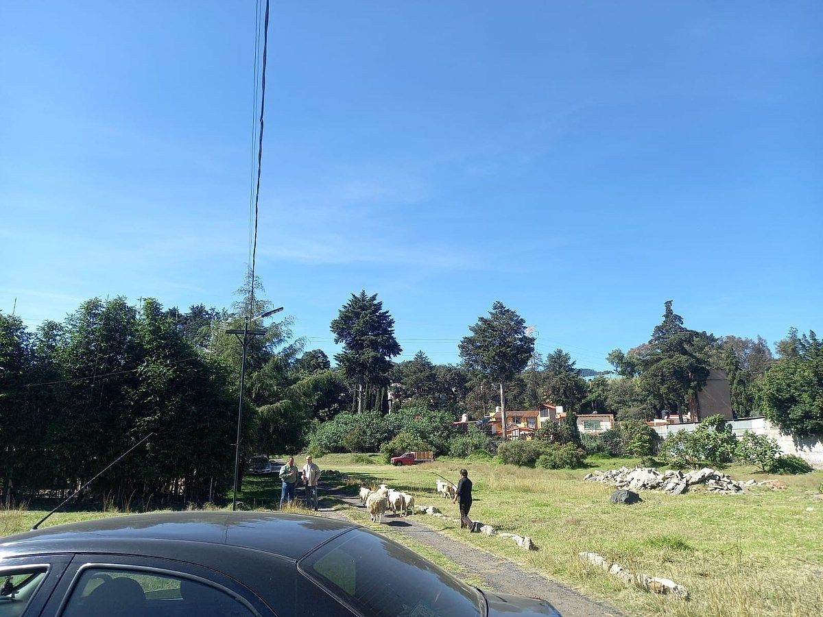 Lote en renta · San Pedro Mártir, Tlalpan, Ciudad de México
