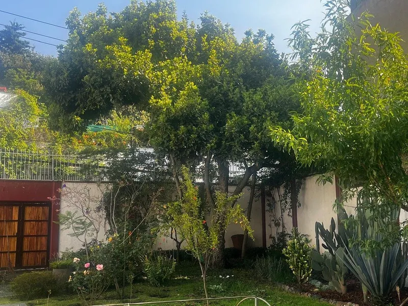 Foto 10