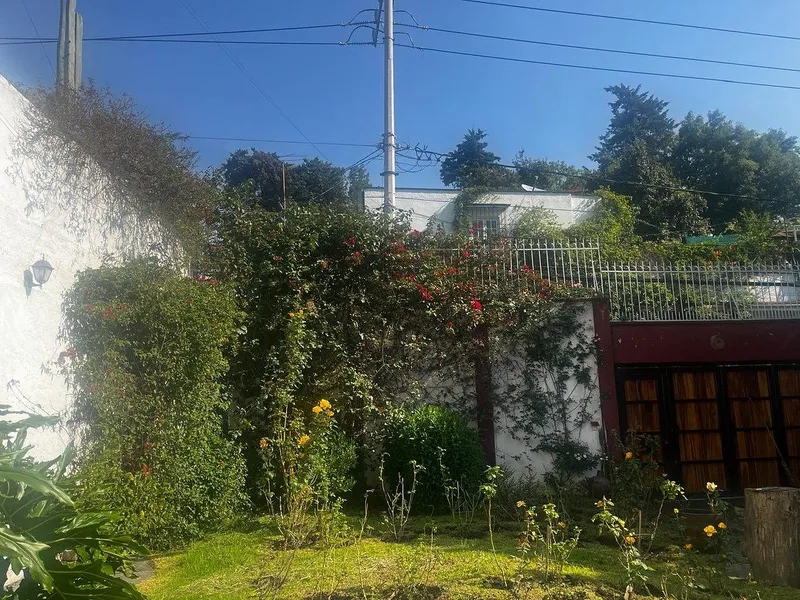 Foto 2